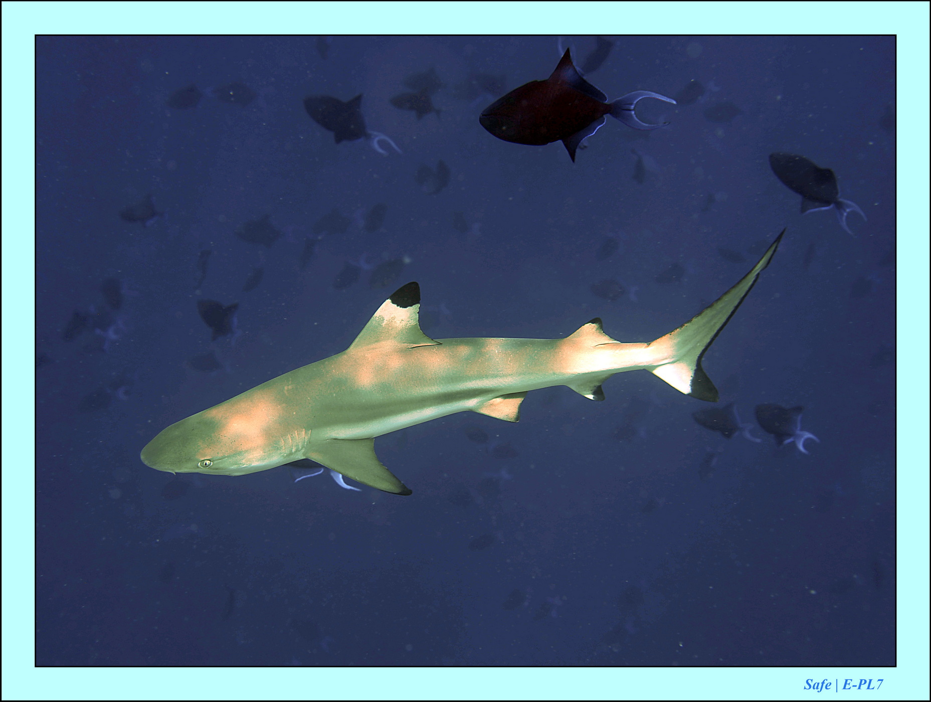 2023 - 07 - Sandies Bathala - 191